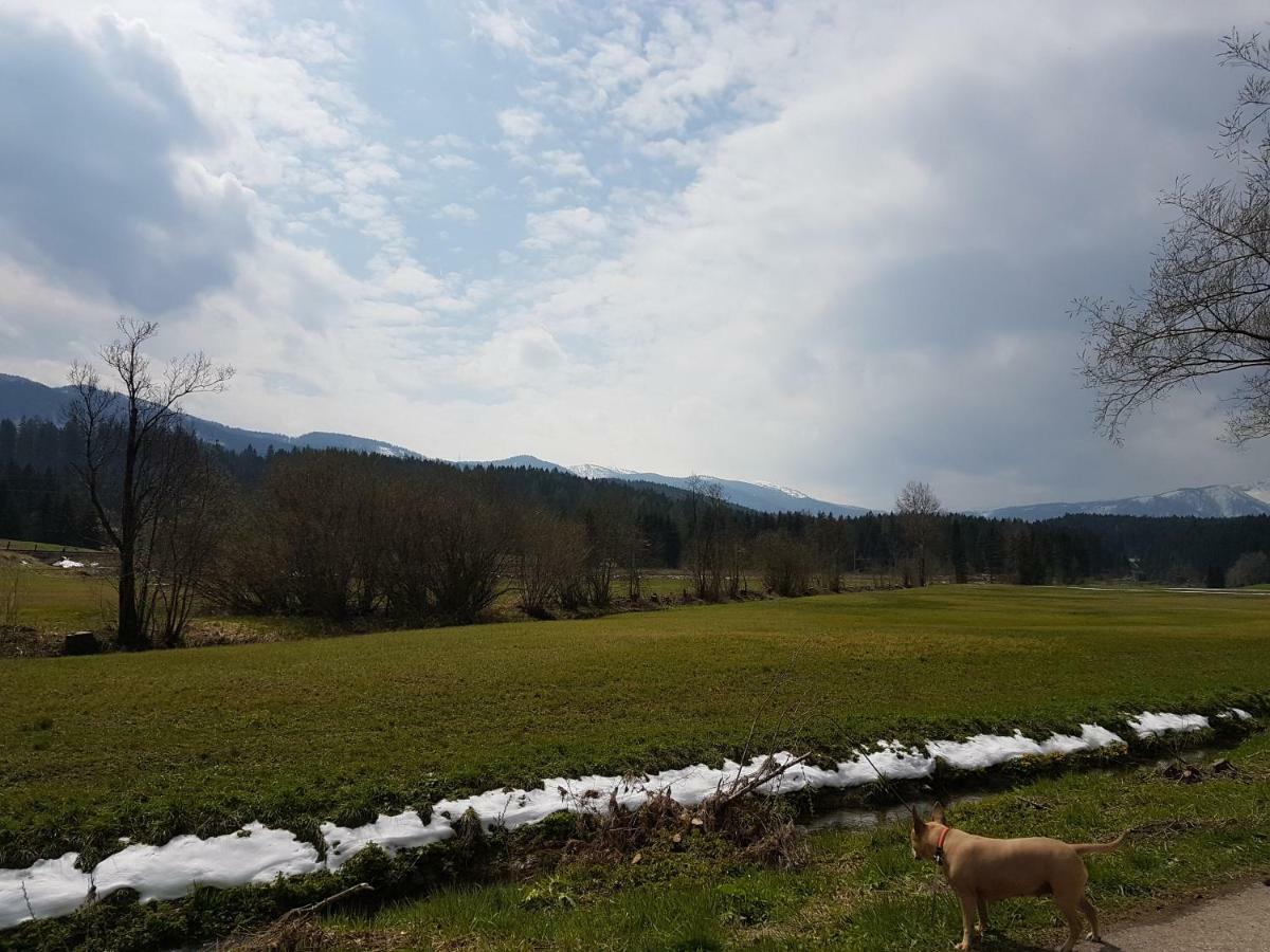 Nina'S Appartement Bad Mitterndorf Bagian luar foto